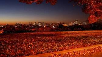 Lovely Autumn Dual Monitor Screen Wallpaper