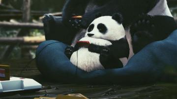 Wallpaper Pandas Joysticks Cartridges Play