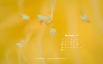 September Desktop Wallpaper Darin Rogers Photography