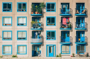 Urban Plant Grid Color Repetition