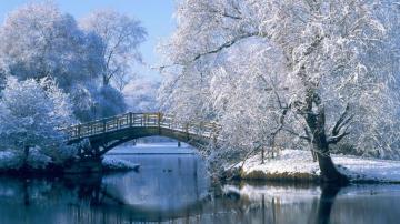 Winter Wallpaper Background