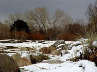 Winter Wallpaper Early Snow Fall Colors By Design