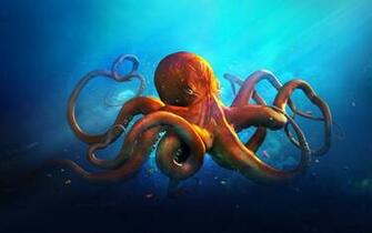Octopus HD Wallpaper Pictures