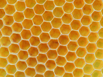 Honeycomb Wallpaper