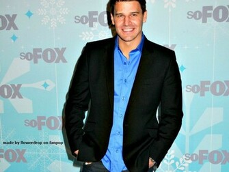 David Boreanaz Wallpaper