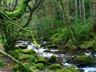 Very Nice Mountain River Wallpaper Amazing