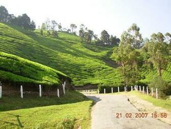 Kerala Nature HD Wallpaper Joy Studio Design Gallery Best