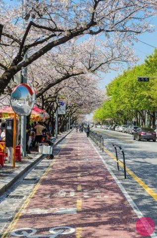 Only Dream South Korea Photography Seoul