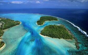 French Moorea Beach Forest Desktop Pc And Mac Wallpaper