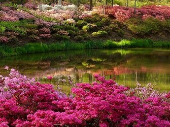 Spring Desktop Wallpaper