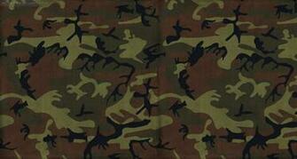 Camo Background Themes