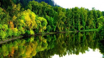 4k River Wallpaper
