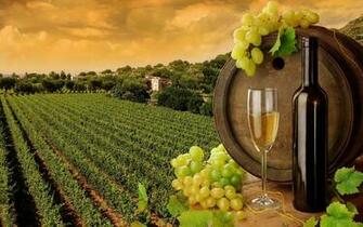 Wine Computer Wallpaper Desktop Background Id