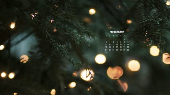 December Wallpaper Bies For Desktop Phones