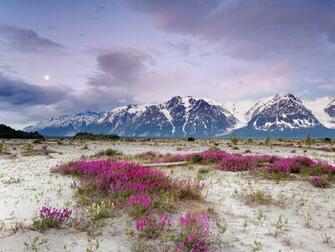 Fuentes De Informaci N Alaska