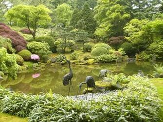 Zen Garden Wallpaper