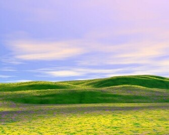 Sunny Days Wallpaper