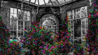 Wallpaper Greenhouse Garden Flowers Bw Full