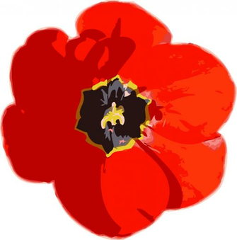 HD Red Rose Wallpaper In Png Format Background Design