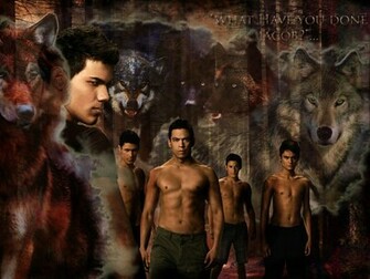 Wallpaper X The Quileute Wolf Pack