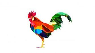 Animals Facets Digital Art Chickens Roosters