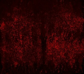 New Bloody Mary Background