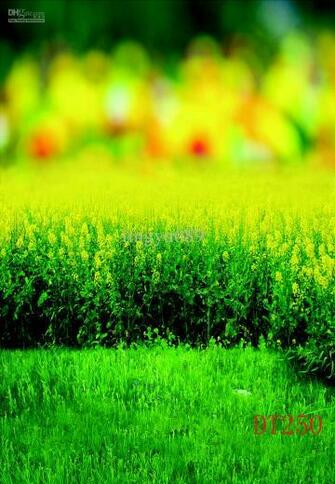 Wholesale Photo Backdrop Wallpaper Curtain Scenic Dreamy Studio