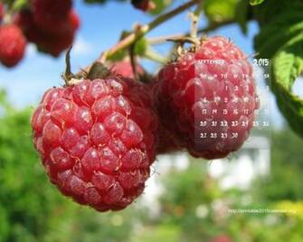 Monthly Calendar Wallpaper
