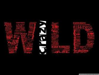 Wild And Crazy HD Desktop Wallpaper High Definition