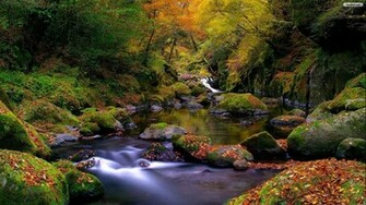 Trippy Landscape Wallpaper