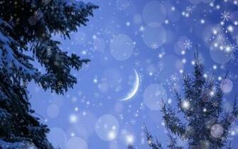 HD Snowy Winter Night Wallpaper