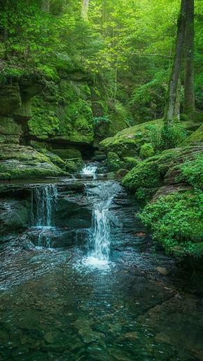Entepic Nature HD iPhone Wallpaper Part