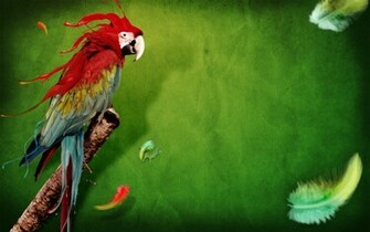 Splash Of Parrot Wallpaper HD