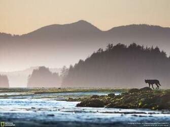 Pacific Northwest Wallpaper