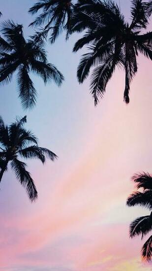 Pretty Wallpaper For Your New iPhone Xs Max Preppy