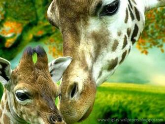 Animation Wall Cute Animals Wallpaper