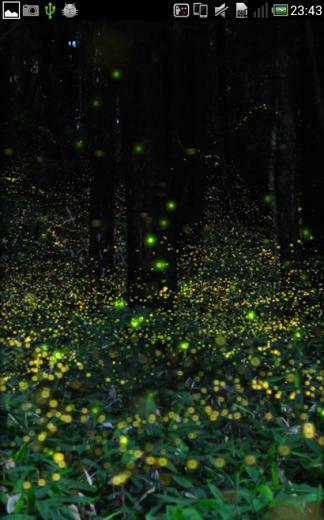 Firefly Live Wallpaper Android Apps On Google Play