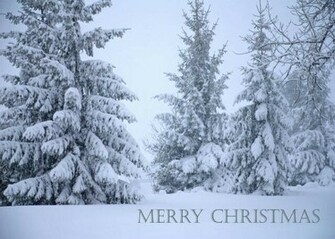 Christmas Desktop Wallpaper Nature Natural