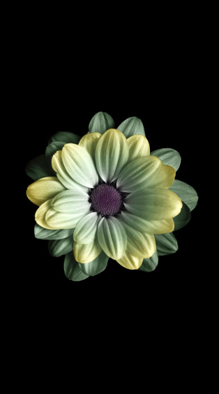 Cool iPhone Wallpaper HD Pics