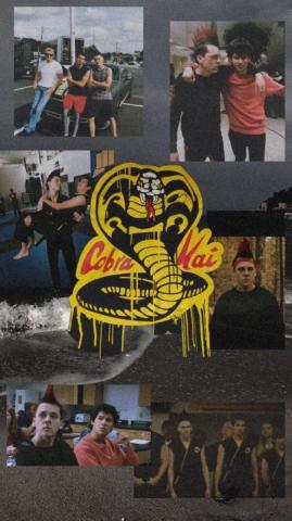 Aesthetic Cobra Kai Wallpaper Karate Kid