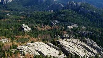 Black Hills South Dakota Wallpaper Hq Desktop