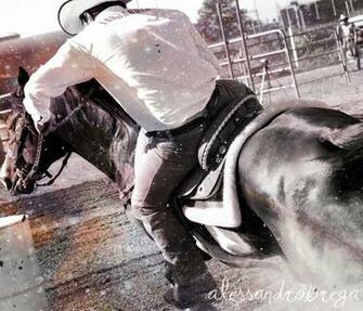 Go Back Image For Barrel Racing Wallpaper