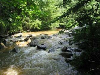 Fishing Stream