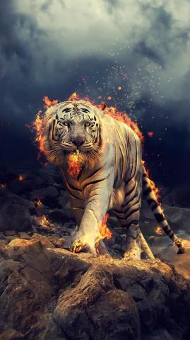 Angry Raging White Tiger Wallpaper