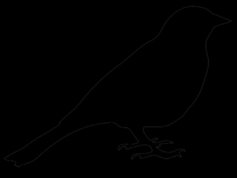 Bird Clipart Silhouette Wallpaper Size Amazingpict