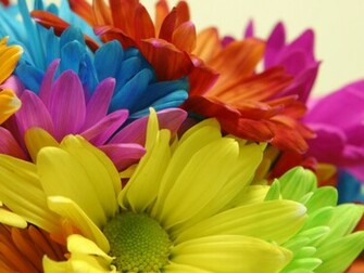 Gallery For Bright Colored Wallpaper Desktop