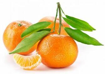Wallpaper Orange Fruit White Background Leaf