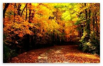 Wisconsin Autumn Wallpaper