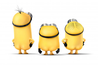 Minions Funny Chromebook Pixel HD 4k Wallpaper Image Photos And Picture