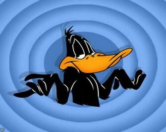 Looney Tunes Daffy Duck Is A Great Wallpaper For Your Computer